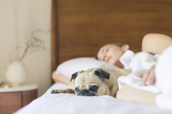 Dog and woman laying on bed sleeping in Smyrna, TN